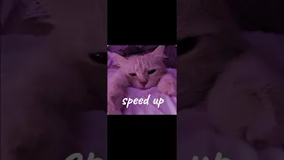 ooes-ночь (speed up)