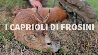 CACCIA AL CAPRIOLO IN TOSCANA - ROE DEER HUNTING IN TUSCANY