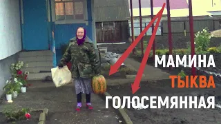 Посадила семечки без кожуры - ТЫКВЫ выросли огромные и продолжают наливаться. Бахча в июле.