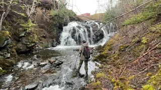 Fishing For Trout In Newfoundland Backcountry (Big Trout!)