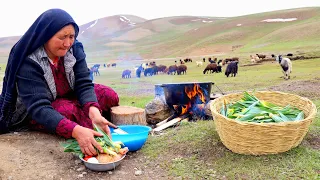 Shepherd Mother Life was at risk | Village life of Afghanistan | Shepherd Life