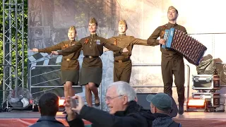 "Клен зеленый, лист резной". 09 мая 2024г.  Гурьевск, Калининградской обл.