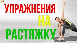 Упражнения на растяжку от олимпийской чемпионки Екатерины Бобровой