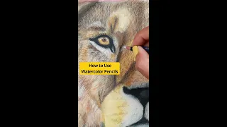 How to Use WATERCOLOR PENCILS🤔#watercolorpencils #watercolorpencil #watercolor #watercolorart #art