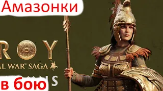 Total War Saga Troy - Инересные бои за Амазонок Пентесилеи 2024