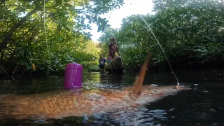 Ito na ang Pinakamalaking Isda na Nahuli nila sa Bakawan