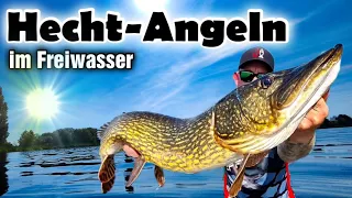 Hechtangeln im Freiwasser | ABGEMETERT💥😱