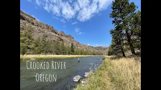 Fly Fishing on the Crooked River | Ochoco National Forest | Camping in Central  Oregon