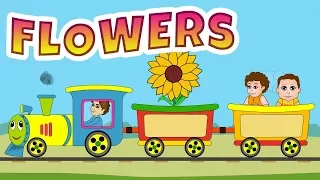 Flowers Name - Learn Flowers Names in English| English Learning video for Kids | Vocabulary for Kids