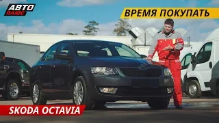 Слабые места Skoda Octavia | Подержанные автомобили