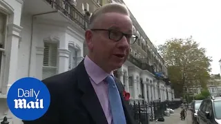 Michael Gove has 'absolute confidence' in PM's Brexit plan