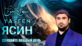 СУРА ЯСИН - СЛУШАЙТЕ КАЖДЫЙ ДЕНЬ - СИРАТУЛЛОХ РАУПОВ #Ясин#Yaseen#alkahf