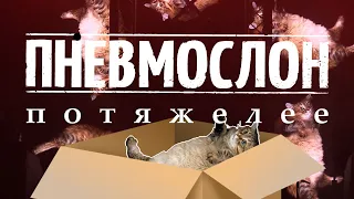 ПНЕВМОСЛОН - «Потяжелее» 11.11.2023  LIVE@1930 Moscow