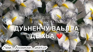 Тхан хьоме да❤️