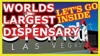 Planet 13 Worlds Largest Dispensary in Las Vegas