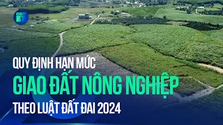 Quy định hạn mức giao đất nông nghiệp theo Luật Đất đai 2024 | VTC1