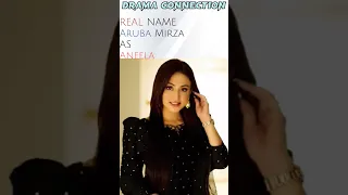 Meray Hi Rehna Cast Real Name | Ary Digital | 2023 | Drama Connection