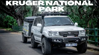 SATARA REST CAMP | KRUGER NATIONAL PARK | Episode 2