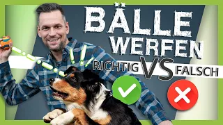 BÄLLE WERFEN im Hundetraining: Richtig VS Falsch [3 Varianten]