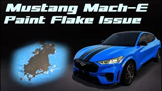 Ford Mustang Mach E Paint Flake Issue & Update