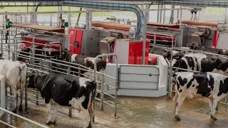 Overview of the LELY Astronaut Robotic Cow Milker!