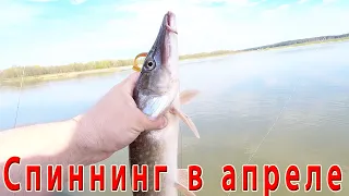 Ловля щуки на спиннинг с берега весной. Щука в апреле.....