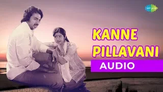 Kanne Pillanavi Audio Song | Aakali Rajyam | SPB & Janaki Hits | Romantic Song