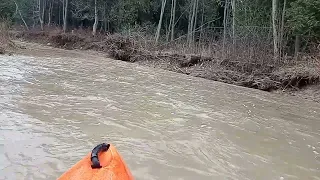 Kayaking the Penatangore River, Kincardine, Ontario. March 15/24 part 1