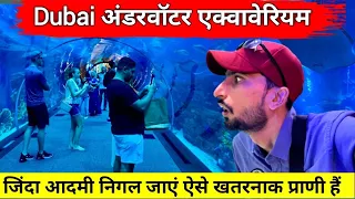 Dubai aquarium Underwater Zoo | ये अंडरवाटर zoo डरावना हैं, विशालकाय जीव हैं यहां