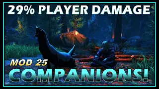 RECENT COMPANION CHANGES: Dealing 29% of Player Damage! (a lot of buffs) - Neverwinter Preview M25