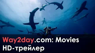 Одиссея – Русский трейлер 2016, HD