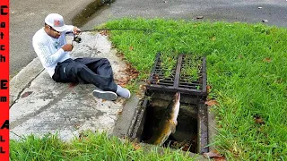 STOP INVASIVE FISH in UNDERGROUND SEWER TUNNELS from TAKING OVER!