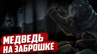 Медведь на заброшке | Абхазия - Сухум | Санаторий МВО