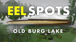 Russian Fishing 4 EEL SPOT Old Burg Lake