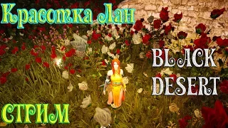 🔴Black Desert.(FTP).Продолжаем качать красотку Лан