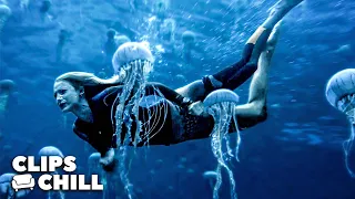 Swimming Among The Jellyfish | The Shallows