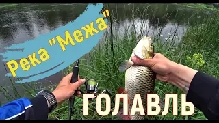 Река Межа. Удачная рыбалка. Ловля голавля и жереха в Тверской области.