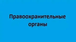 Правоохранительные органы. Лекция 1