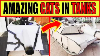 CATS & TANKS | Building Cardboard Tanks For Cats During Coronavirus