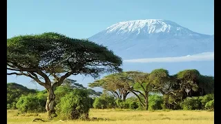 Extremes Teambuilding – Mangelberger auf dem Gipfel des Kilimandscharo