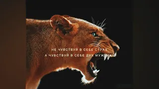 Лучшая подборка цитат | грустные, крутые, смешные цитаты | #67 | Best sequoteslection of quotes