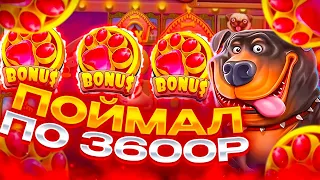 ПОЙМАЛ 5 ЛАП В БОНУСКЕ! ЛУЧШИЕ ЗАНОСЫ НЕДЕЛИ В DOG HOUSE MEGAWAYS!