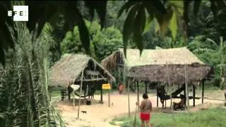 Colin Firth se une a una campaña para proteger la tribu brasileña de los awás