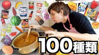 カレーに100種類の食べ物を隠し味にブチ込んで食ってみた