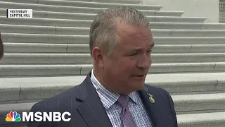 'I think it's obvious' what Trump did was wrong, says House Republican
