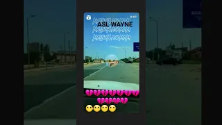 ASL WAYNE