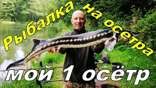 Рыбалка на осетра, мой первый осётр!