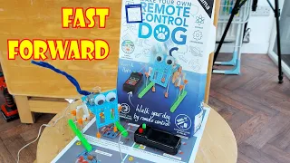 Make your own Remote Control Dog FAST FORWARD