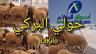 اتمنة حولي أسواق وجدة حولي البركي و الصردي