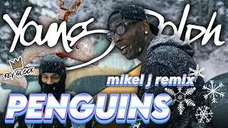Young Dolph x Key Glock - Penguins (mikel j remix)